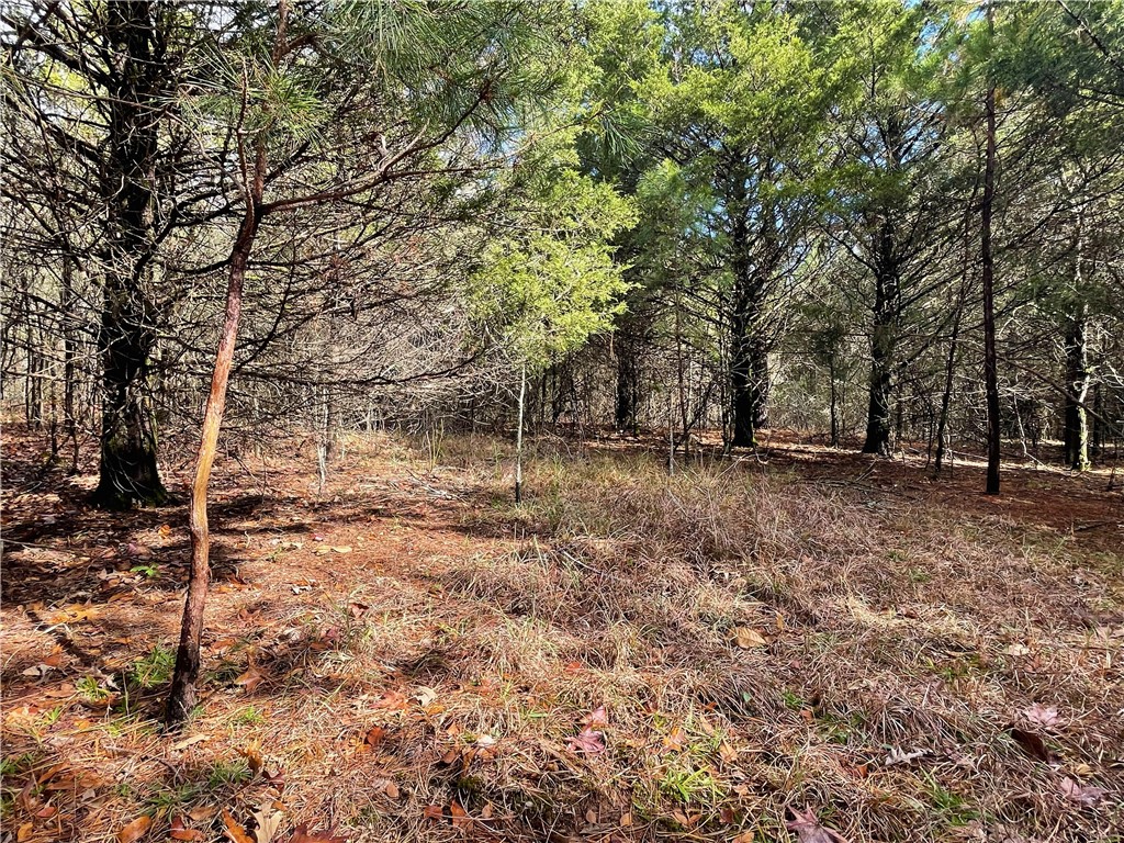 9943 Rough Branch Road Mulberry, AR 72947 - Photo 20 of 39 Gallery Image 20
