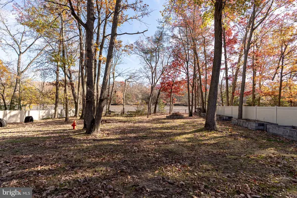 a view of dirt yard with a tree