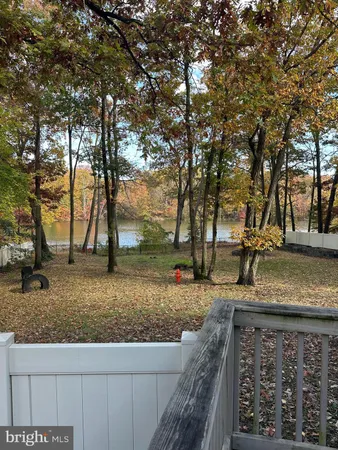 a view of a yard with trees