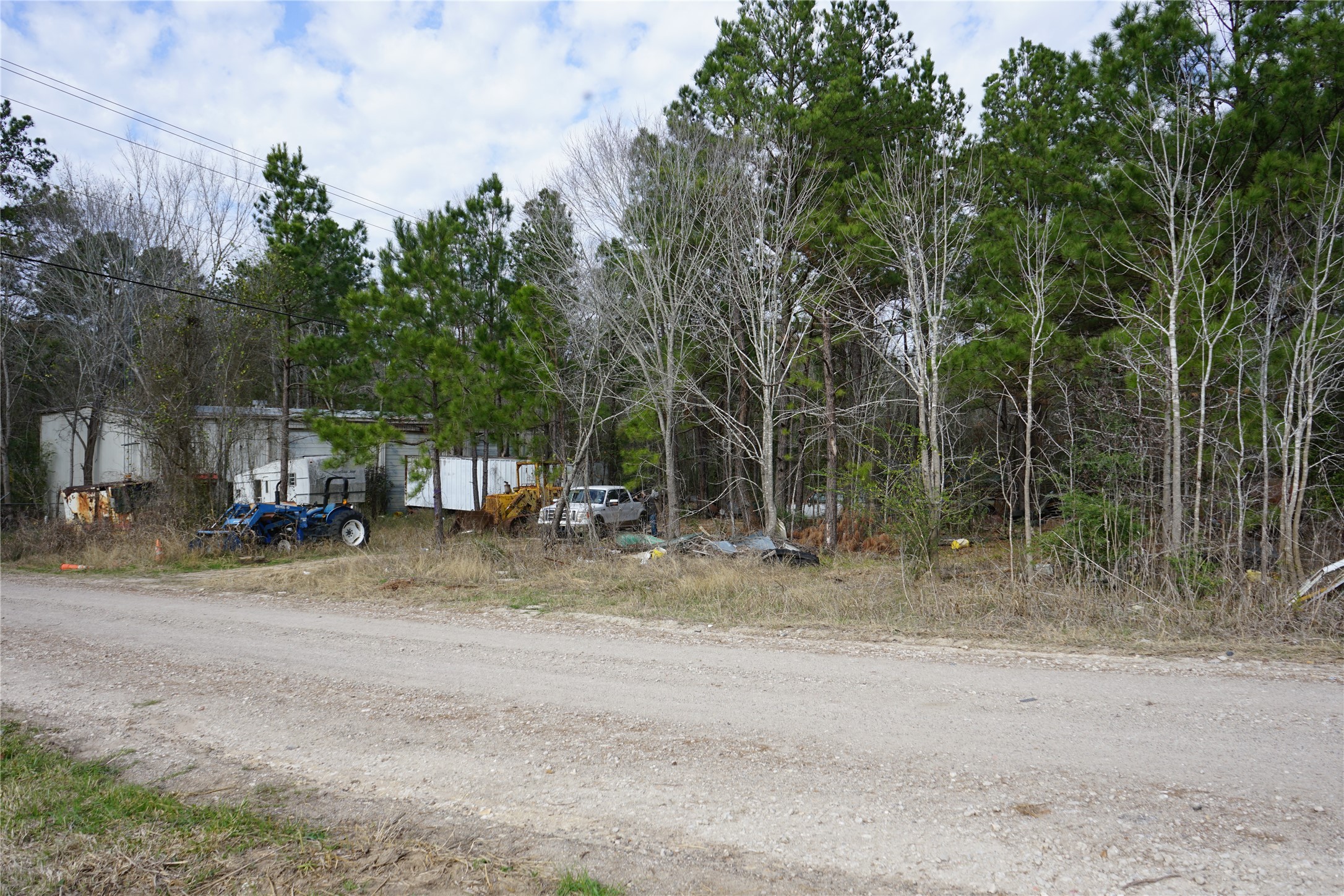 140 Mosely Livingston, TX 77351 - Photo 4 of 9 a view of a yard with a tree
