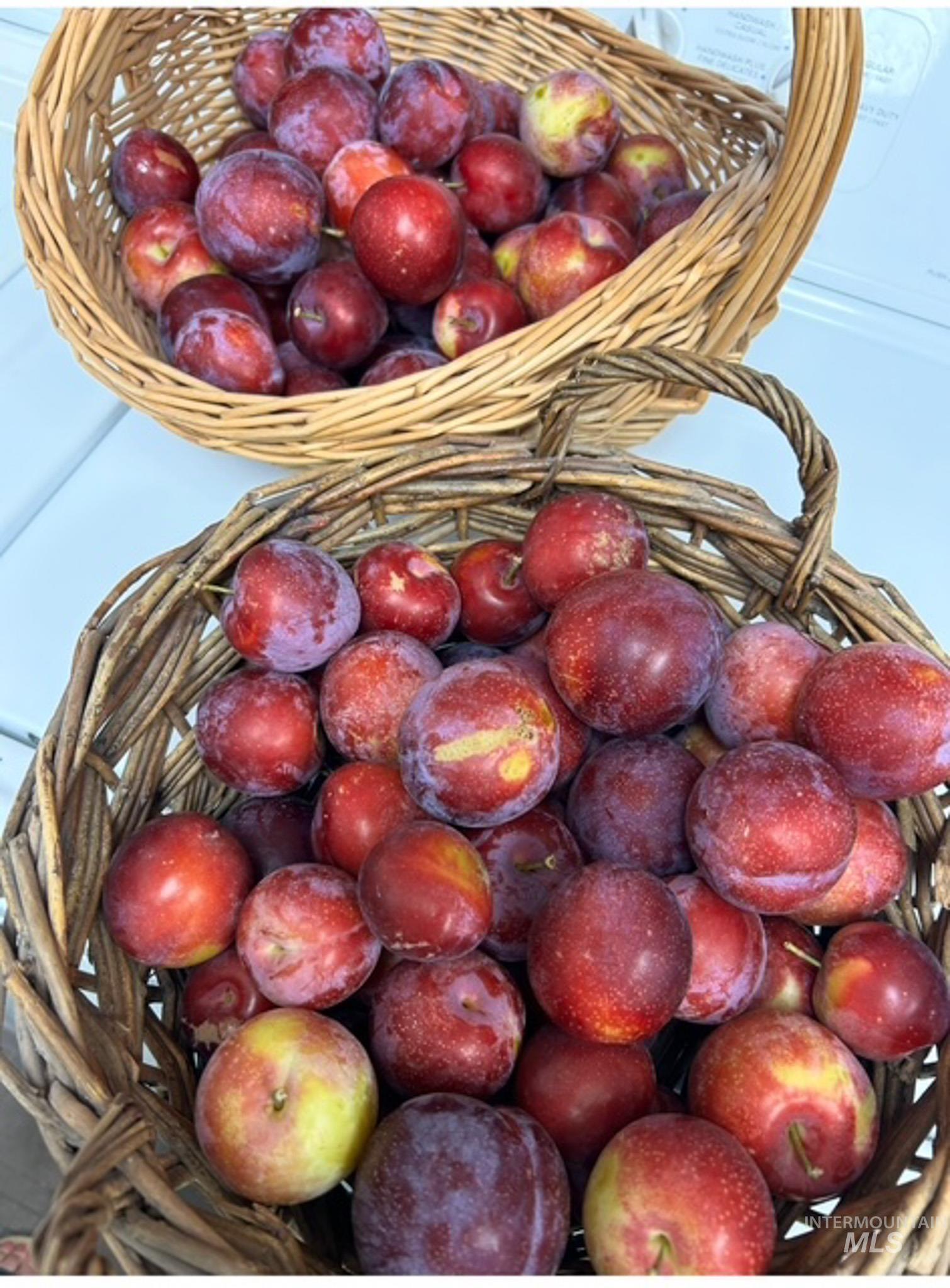 2676 South Velvet Falls Way Meridian, ID 83642 - Photo 43 of 49