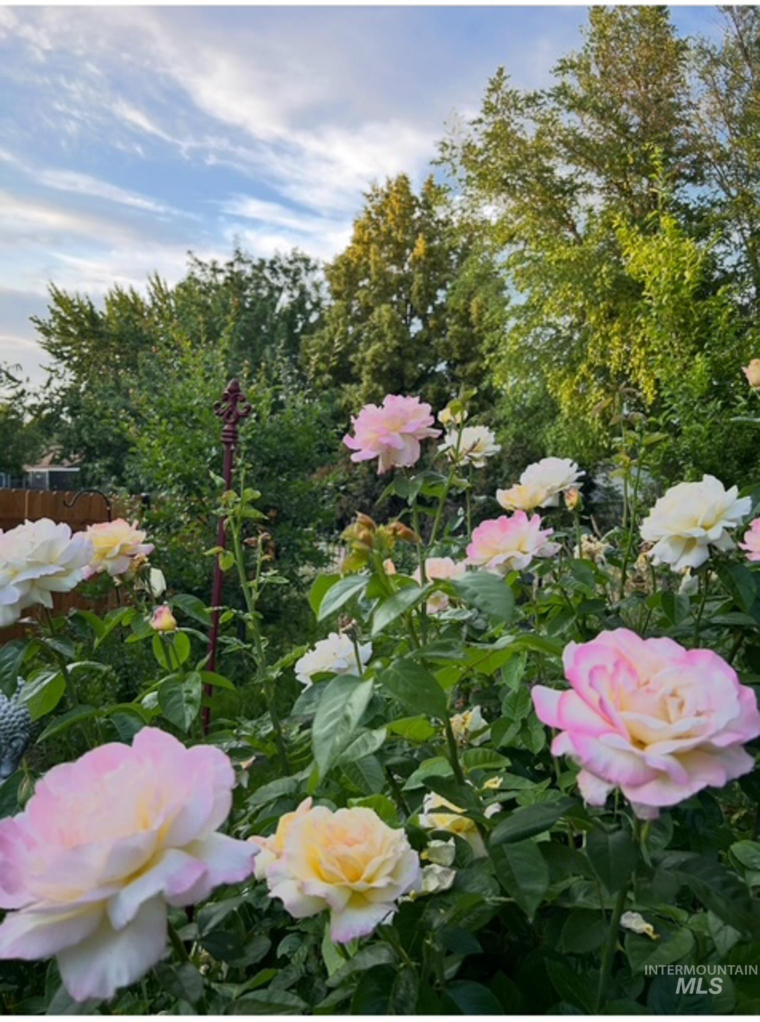 2676 South Velvet Falls Way Meridian, ID 83642 - Photo 44 of 49