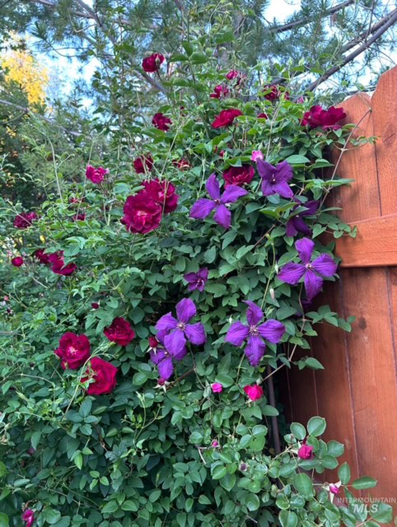 2676 South Velvet Falls Way Meridian, ID 83642 - Photo 45 of 49