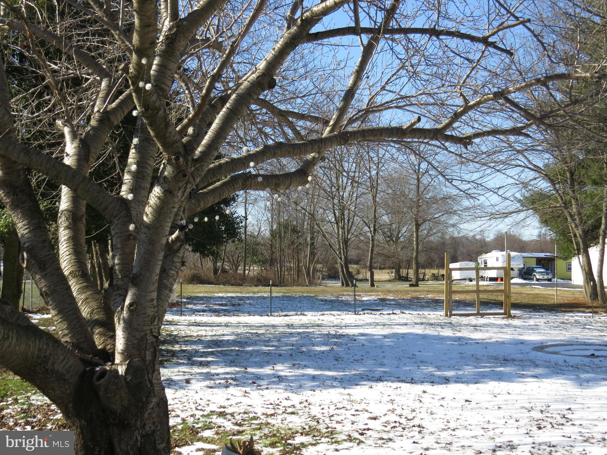215 Maloney Road Elkton, MD 21921 - Photo 9 of 12 Large backyard, partially fenced