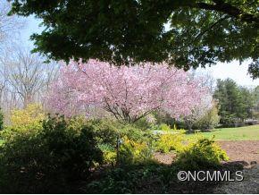 801 Golden Road Tryon, NC 28782 - Photo 23 of 24 a view of a park