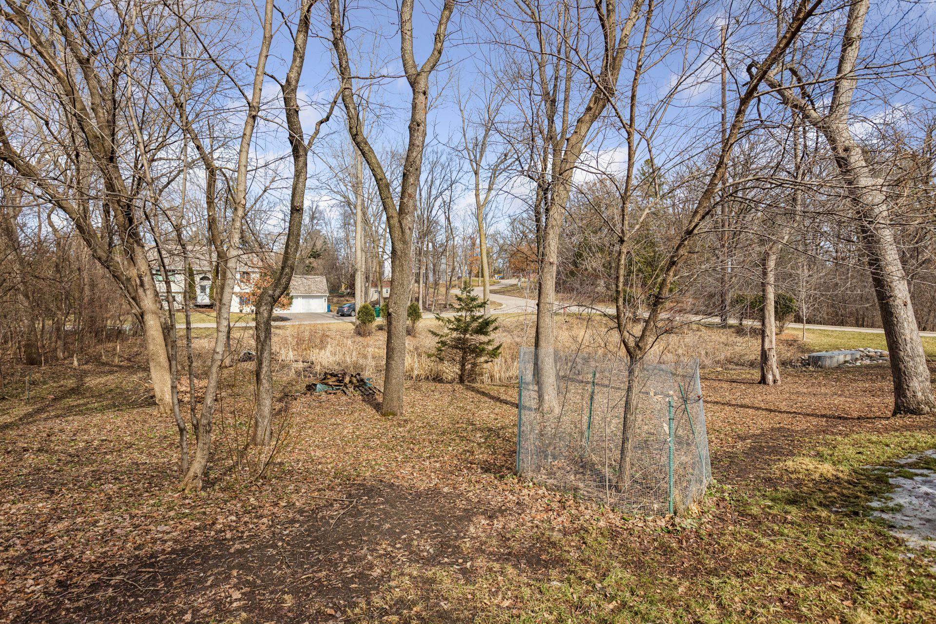 5420 Spring Lane Minnetonka, MN 55345 - Photo 45 of 58