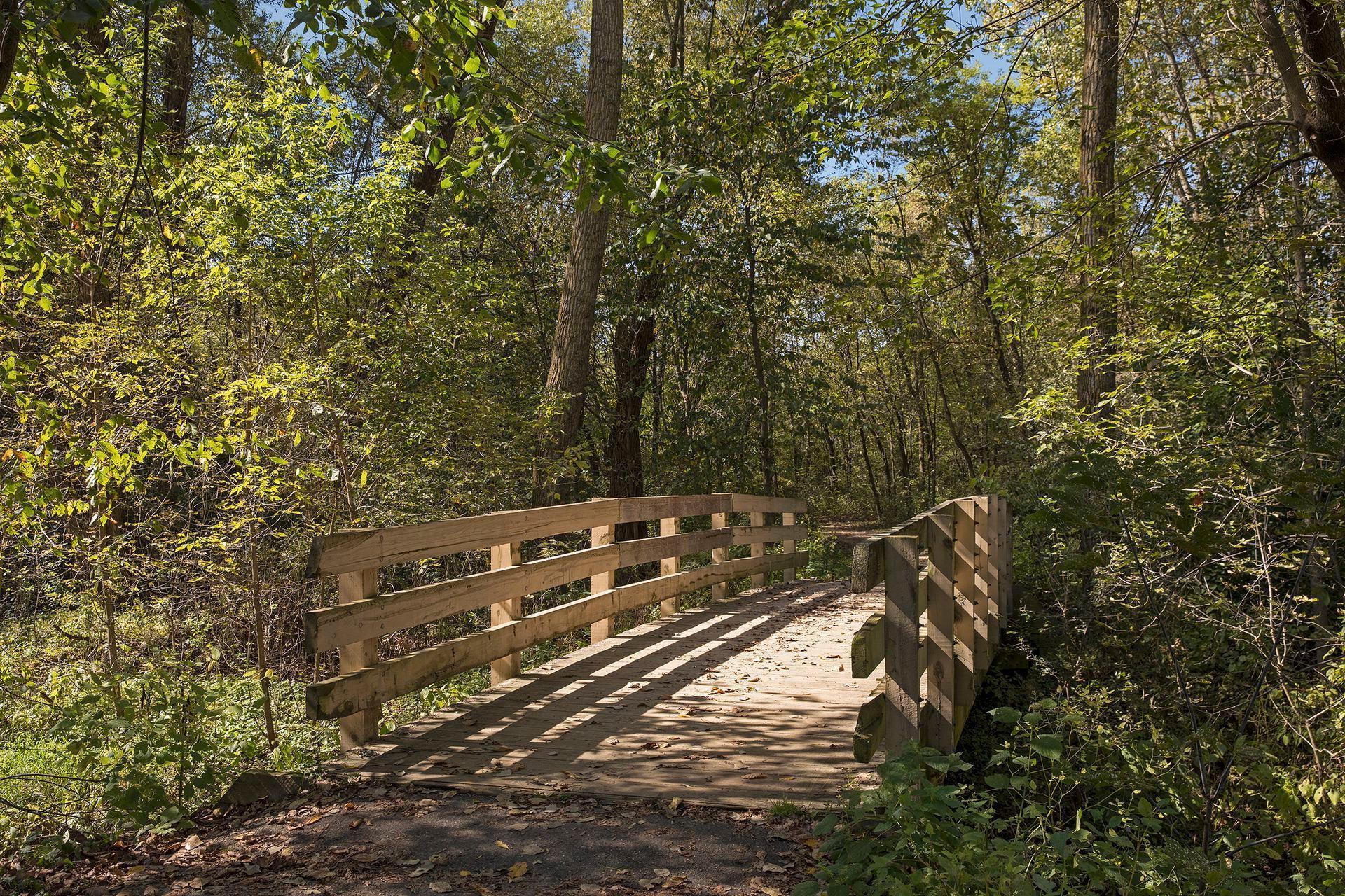 5420 Spring Lane Minnetonka, MN 55345 - Photo 50 of 58