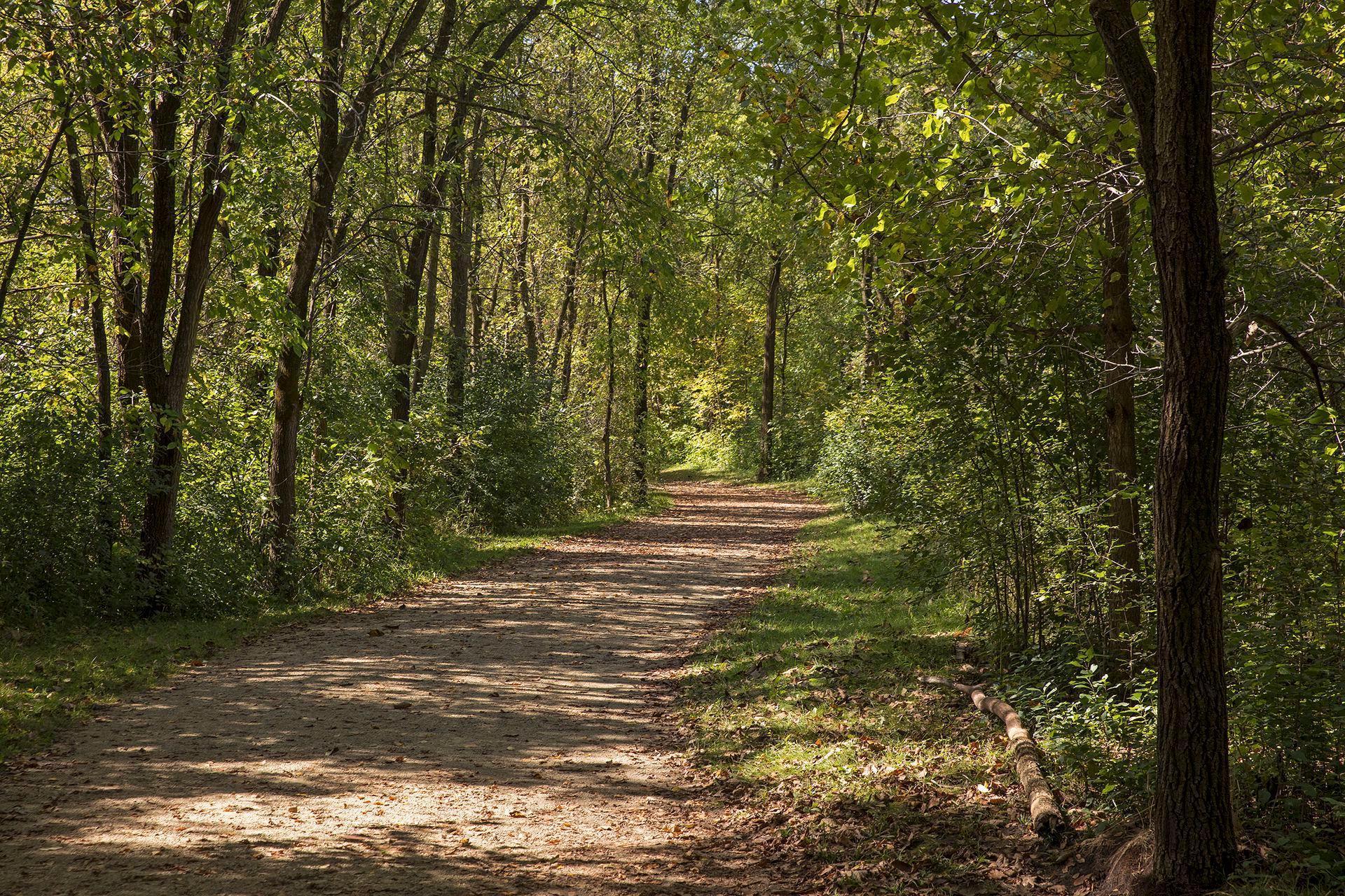 5420 Spring Lane Minnetonka, MN 55345 - Photo 53 of 58