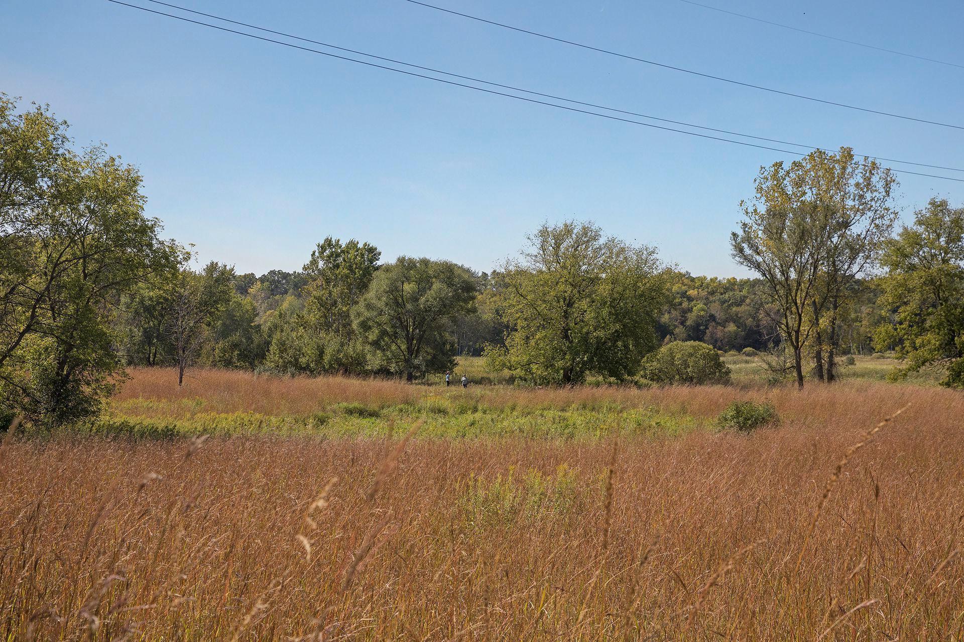 5420 Spring Lane Minnetonka, MN 55345 - Photo 54 of 58