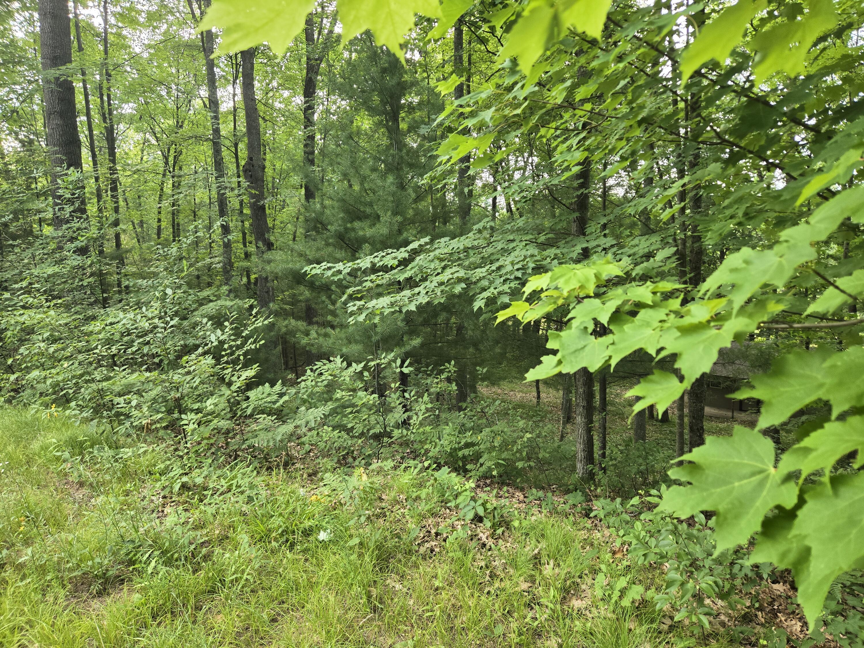 8207 Hunters Ridge Drive Irons, MI 49644 - Photo 8 of 14 garret7
