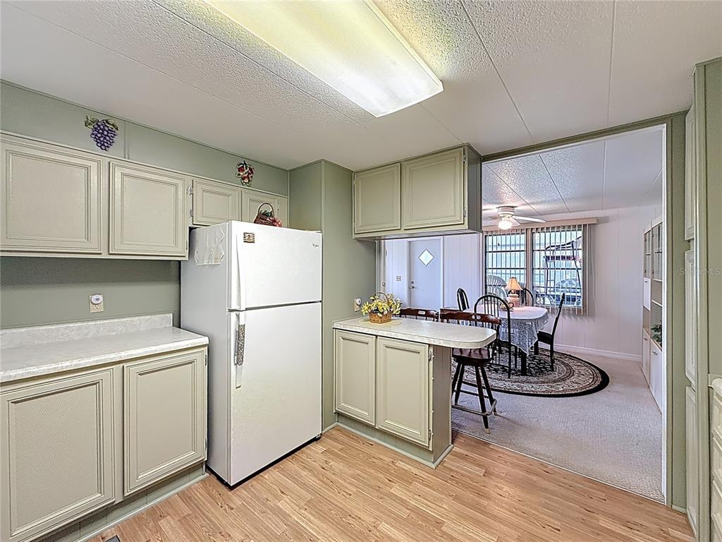 1231 Elkhart Circle Tavares, FL 32778 - Photo 12 of 59