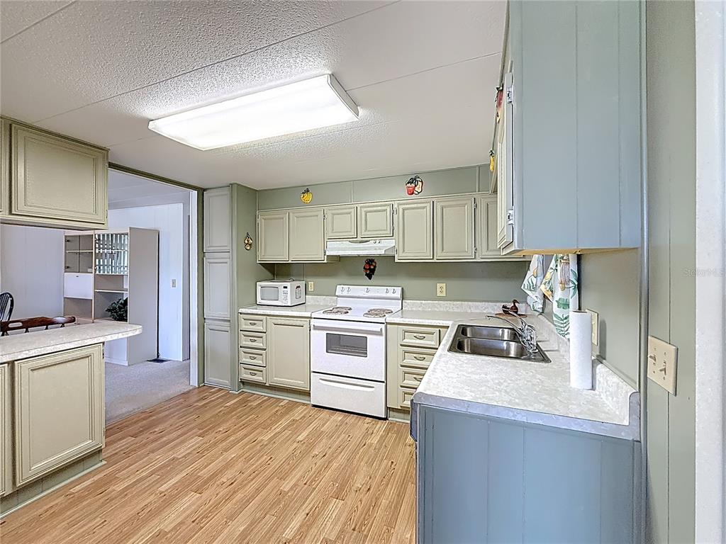 1231 Elkhart Circle Tavares, FL 32778 - Photo 14 of 59