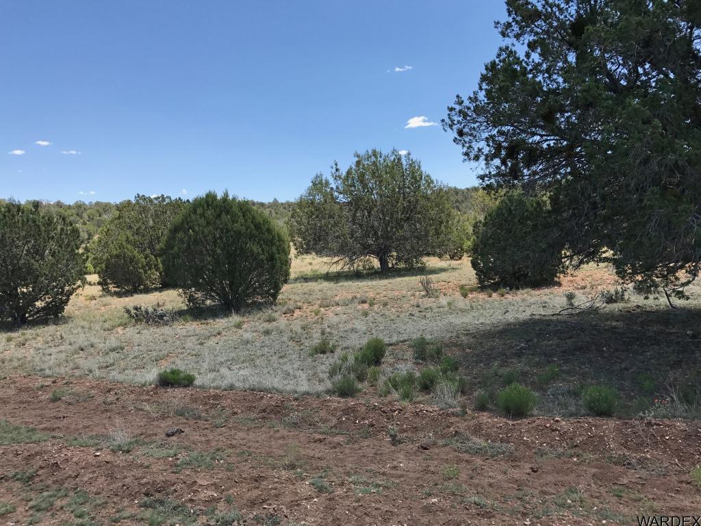 Lot 276 Sierra Verde Ranch Seligman, AZ 86337 - Photo 1 of 7 Primary Photo