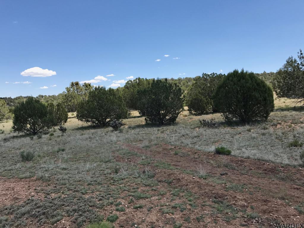 Lot 276 Sierra Verde Ranch Seligman, AZ 86337 - Photo 2 of 7 Additional Photo