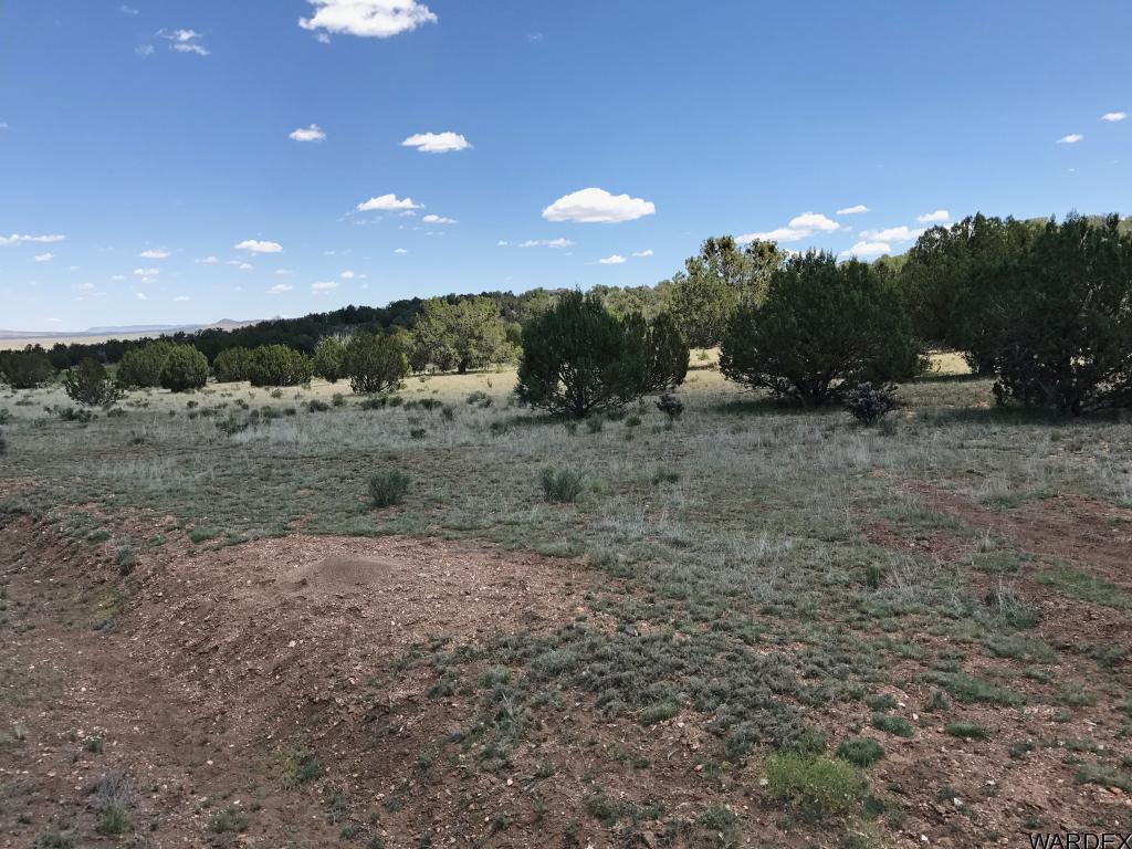 Lot 276 Sierra Verde Ranch Seligman, AZ 86337 - Photo 3 of 7 Additional Photo