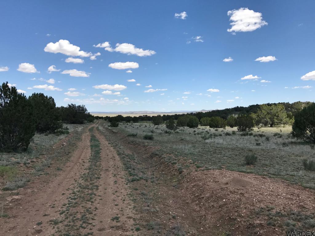 Lot 276 Sierra Verde Ranch Seligman, AZ 86337 - Photo 4 of 7 Additional Photo