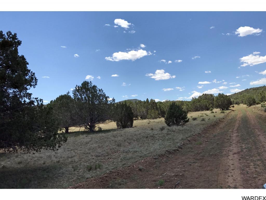 Lot 276 Sierra Verde Ranch Seligman, AZ 86337 - Photo 5 of 7 Additional Photo