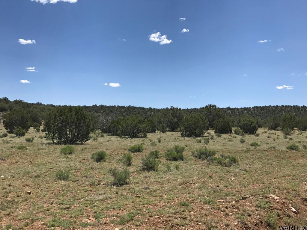 Lot 276 Sierra Verde Ranch Seligman, AZ 86337 - Photo 6 of 7 Additional Photo