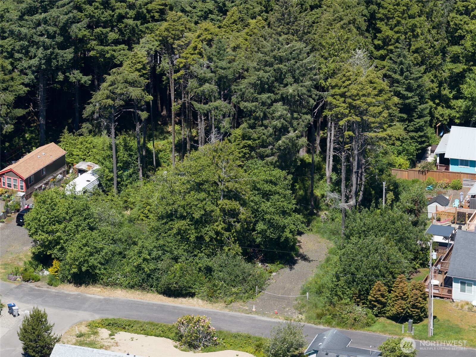 0 Patterson Street Pacific Beach, WA 98571 - Photo 2 of 23