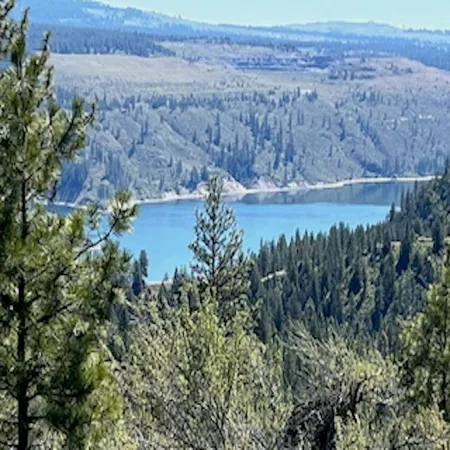 $149,500 | Lot 17 Bighorn Drive, Davenport, WA 99122