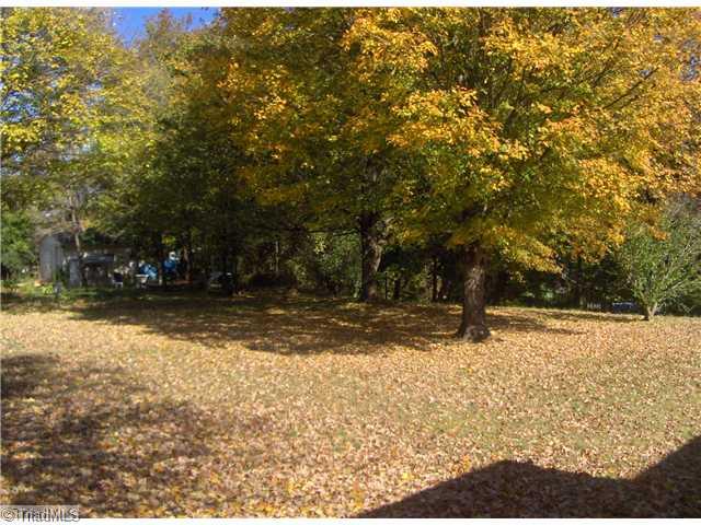 102 South Avondale Road Lexington, NC 27292 - Photo 11 of 12 Exterior Back. back yard
