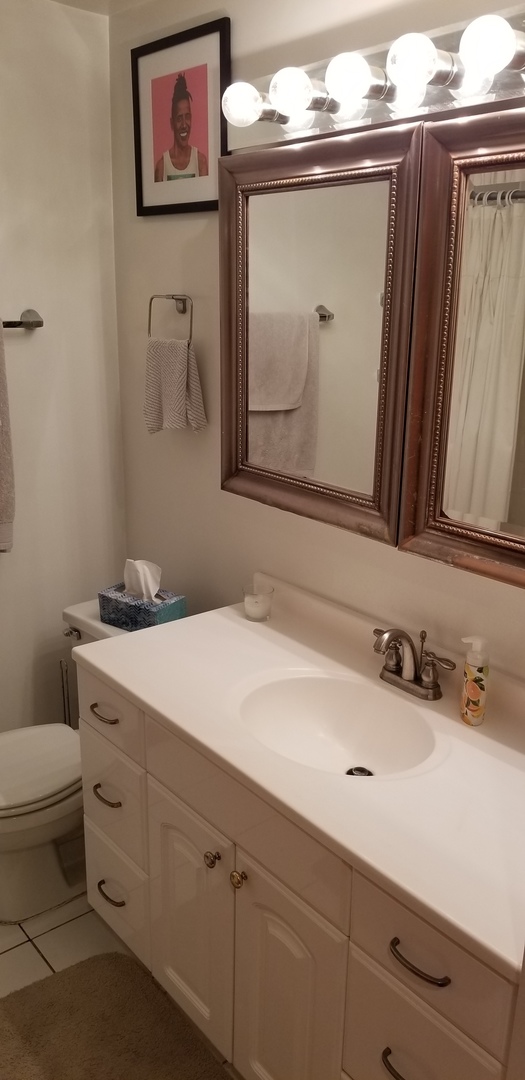 1534 West George Street, Unit G Chicago, IL 60657 - Photo 5 of 12 a bathroom with a sink and a mirror