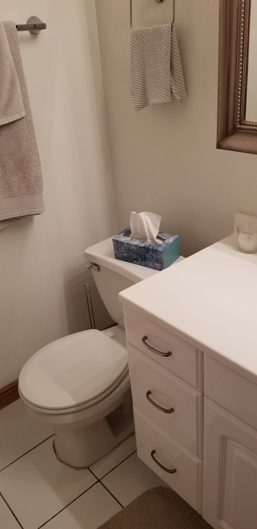 1534 West George Street, Unit G Chicago, IL 60657 - Photo 6 of 12 a bathroom with a toilet and a sink