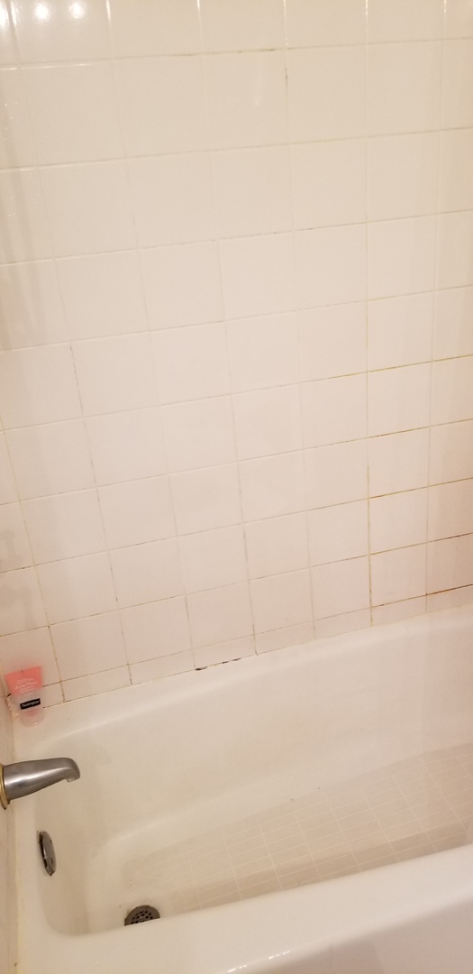 1534 West George Street, Unit G Chicago, IL 60657 - Photo 7 of 12 a bathroom with a bathtub