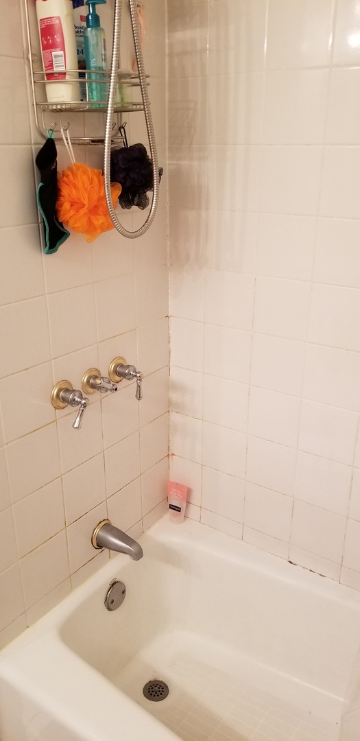 1534 West George Street, Unit G Chicago, IL 60657 - Photo 8 of 12 a bathroom with a sink