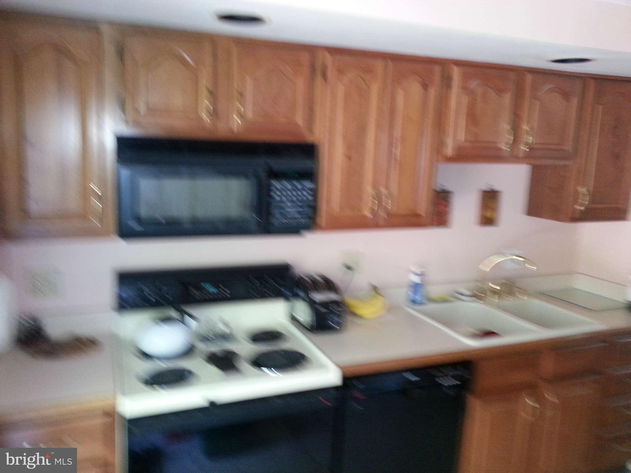 110 Harrison Road Sterling, VA 20164 - Photo 3 of 8 Kitchen1