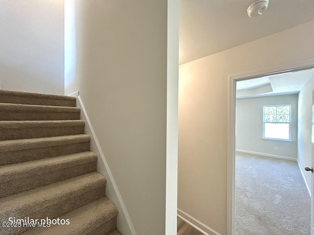 137 Tides End Drive Holly Ridge, NC 28445 - Photo 83 of 99 IMG-2949-jpg