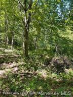 L-33 Harring Road Cairo, NY 12413 - Photo 5 of 5
