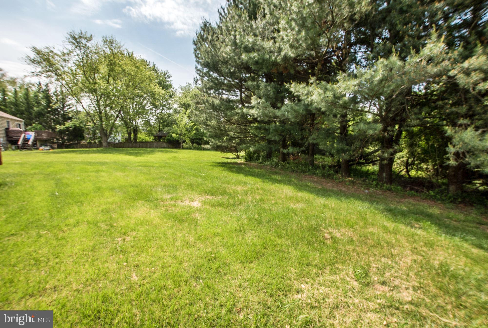 14400 Twig Road Silver Spring, MD 20905 - Photo 22 of 25 Flat backyard that backs into woods!