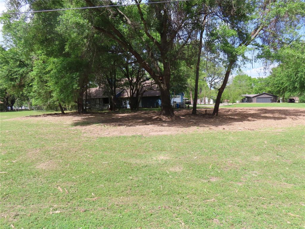 0 Henry Iv Mabank, TX 75156 - Photo 3 of 10 a view of a yard with a tree