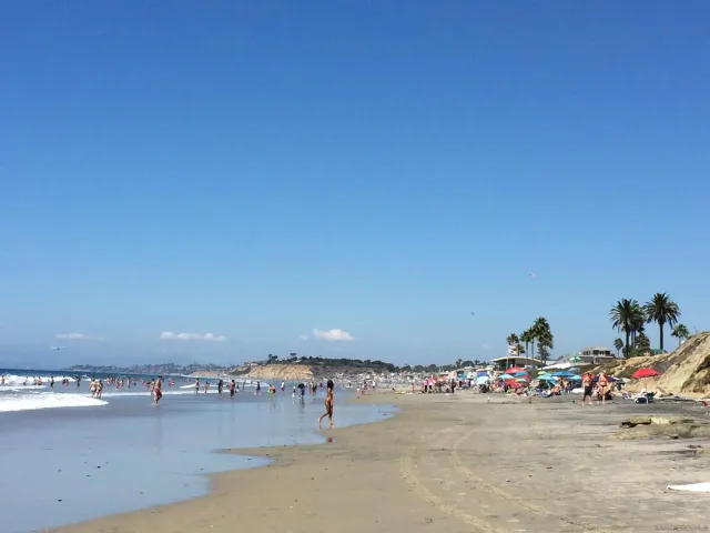 a view of car and trees