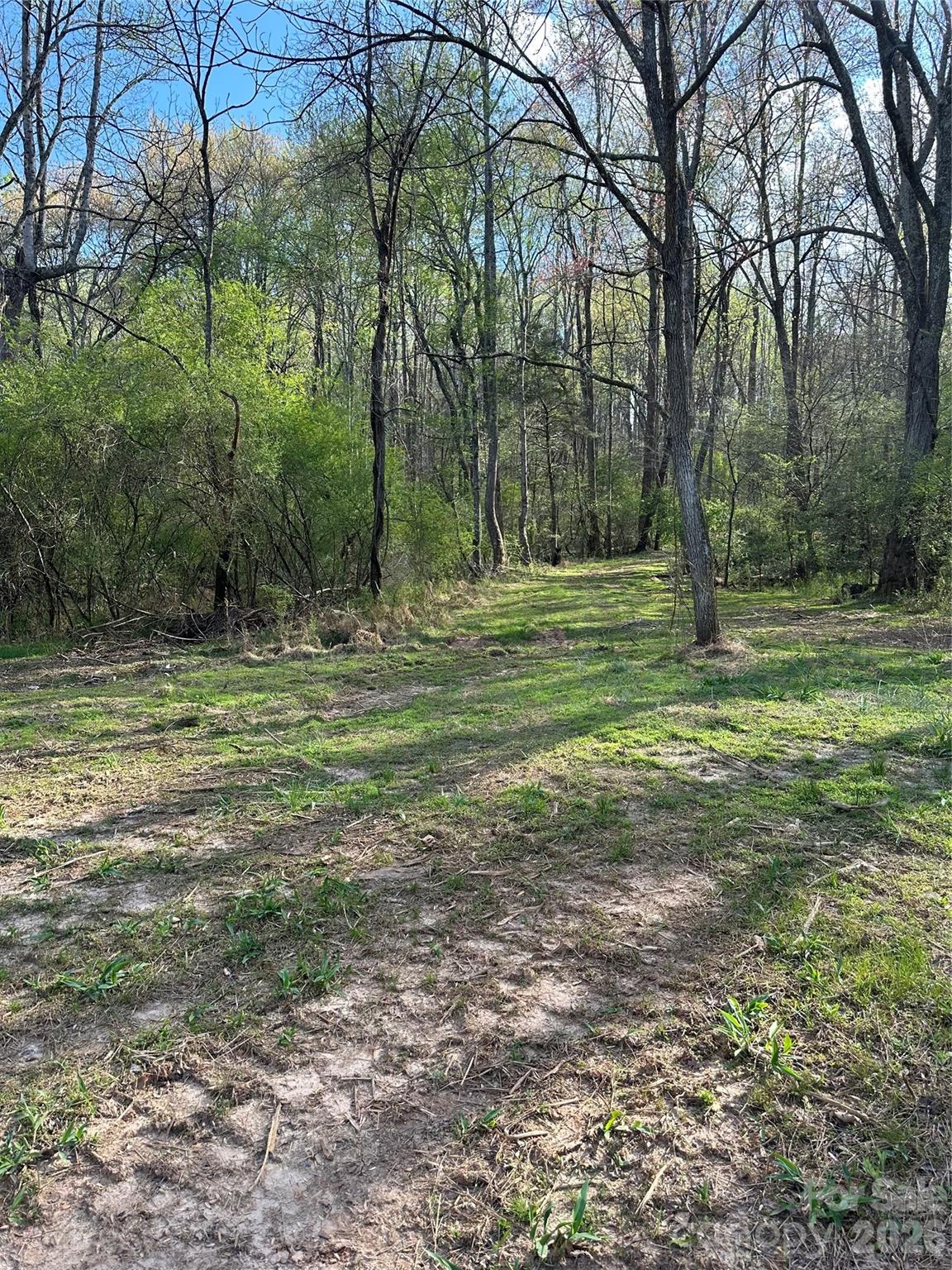 0 Stikeleather Road Hiddenite, NC 28636 - Photo 26 of 28 a view of outdoor space with trees all around