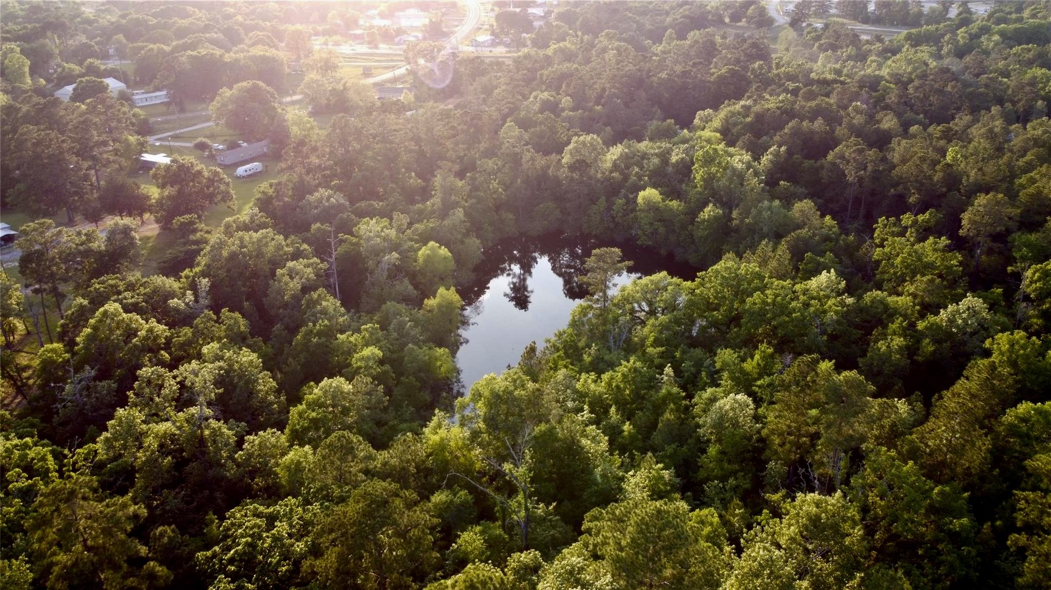 55 Lake Road Huntsville, TX 77320 - Photo 4 of 50 a bunch of flowers