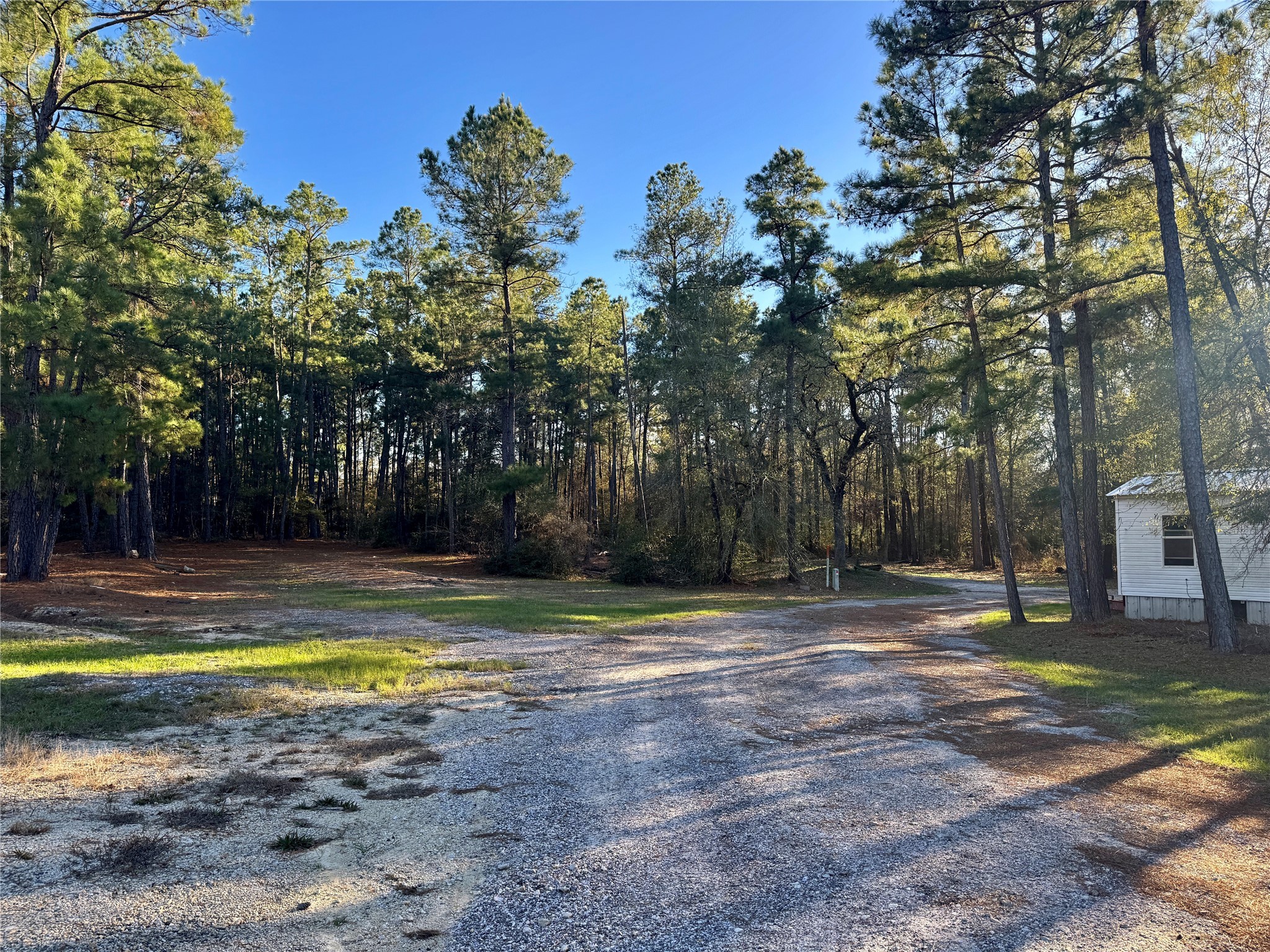 55 Lake Road Huntsville, TX 77320 - Photo 46 of 50 a view of a swimming pool and trees in the background