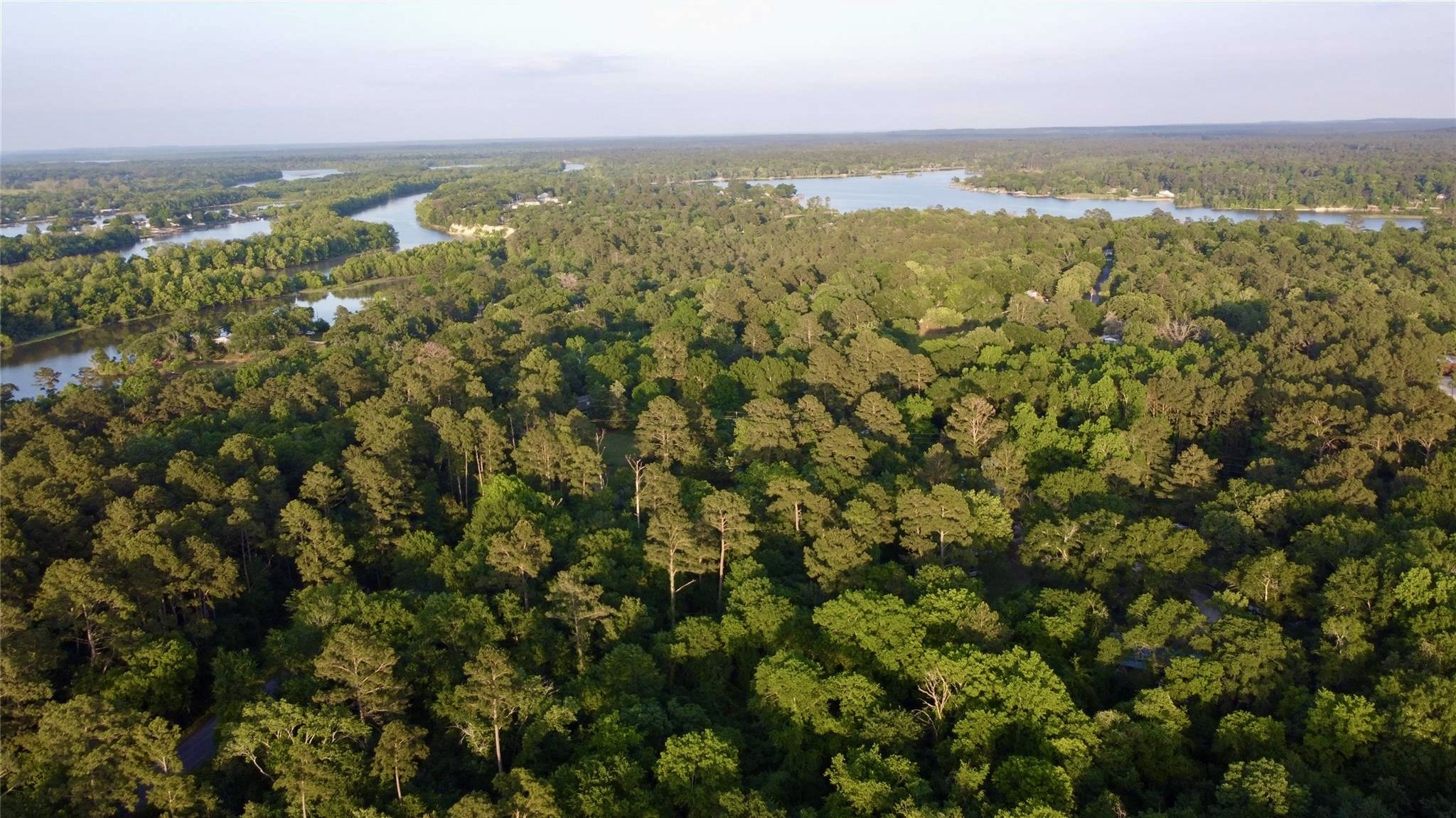 55 Lake Road Huntsville, TX 77320 - Photo 50 of 50 an aerial view of residential houses with outdoor space and trees