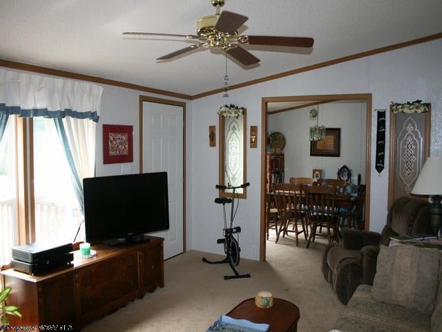 64 Chaz Run Road Wallace, WV 26448 - Photo 15 of 20 Gallery Image 15