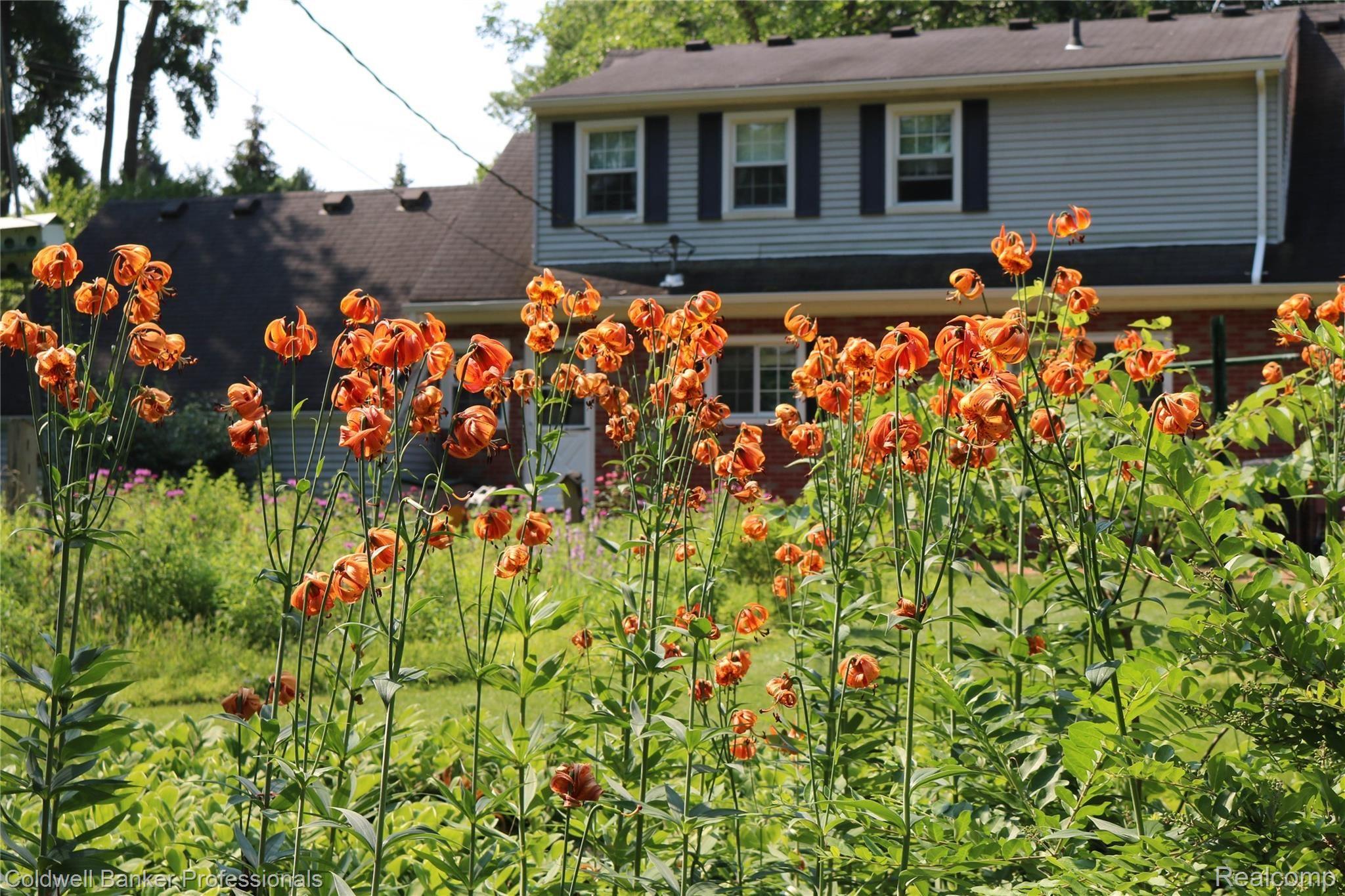 1967 Kemp Road Bloomfield Hills, MI 48302 - Photo 37 of 47 Michigan Lillies (1).jpg