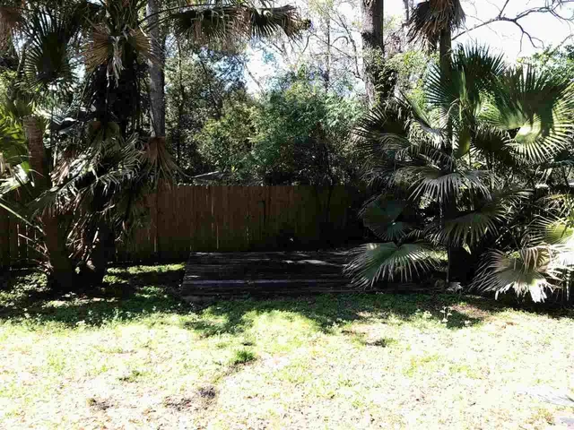 $1,300 | 2404 Surrey Street, Tallahassee, FL 32304