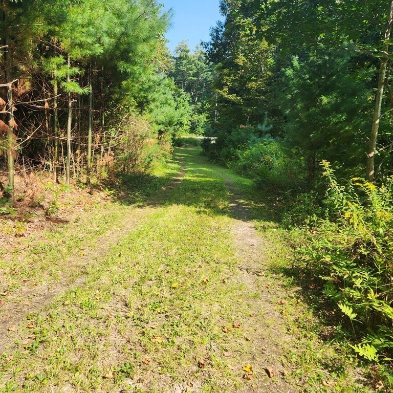181 A South Road Pepperell, MA 01463 - Photo 1 of 13 a view of yard with large trees