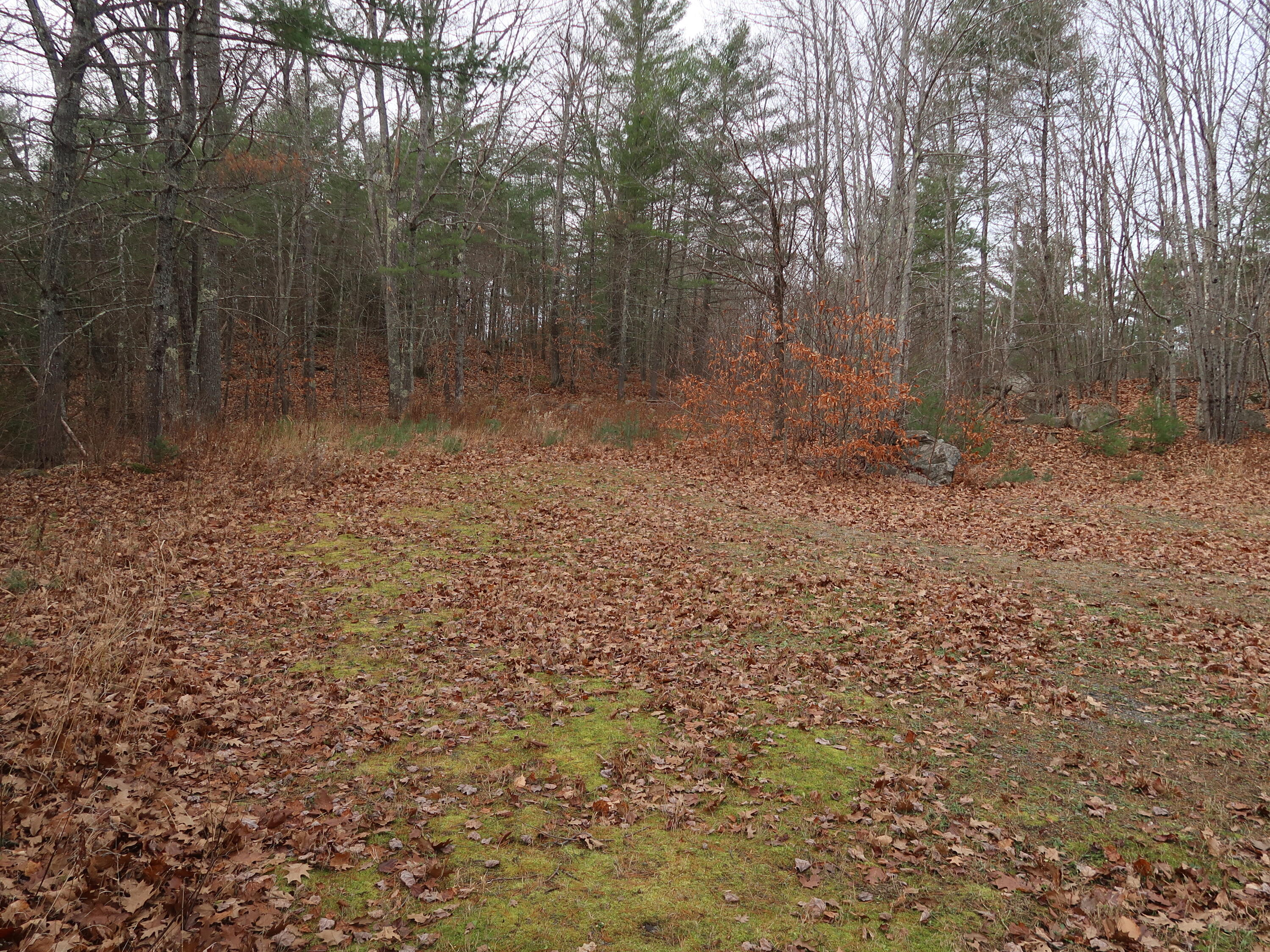 614 Windsor Road Augusta, ME 04330 - Photo 9 of 56 IMG_0232