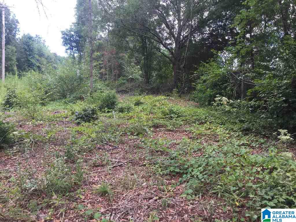 113 County Road, Unit 2 Lineville, AL 36266 - Photo 3 of 4