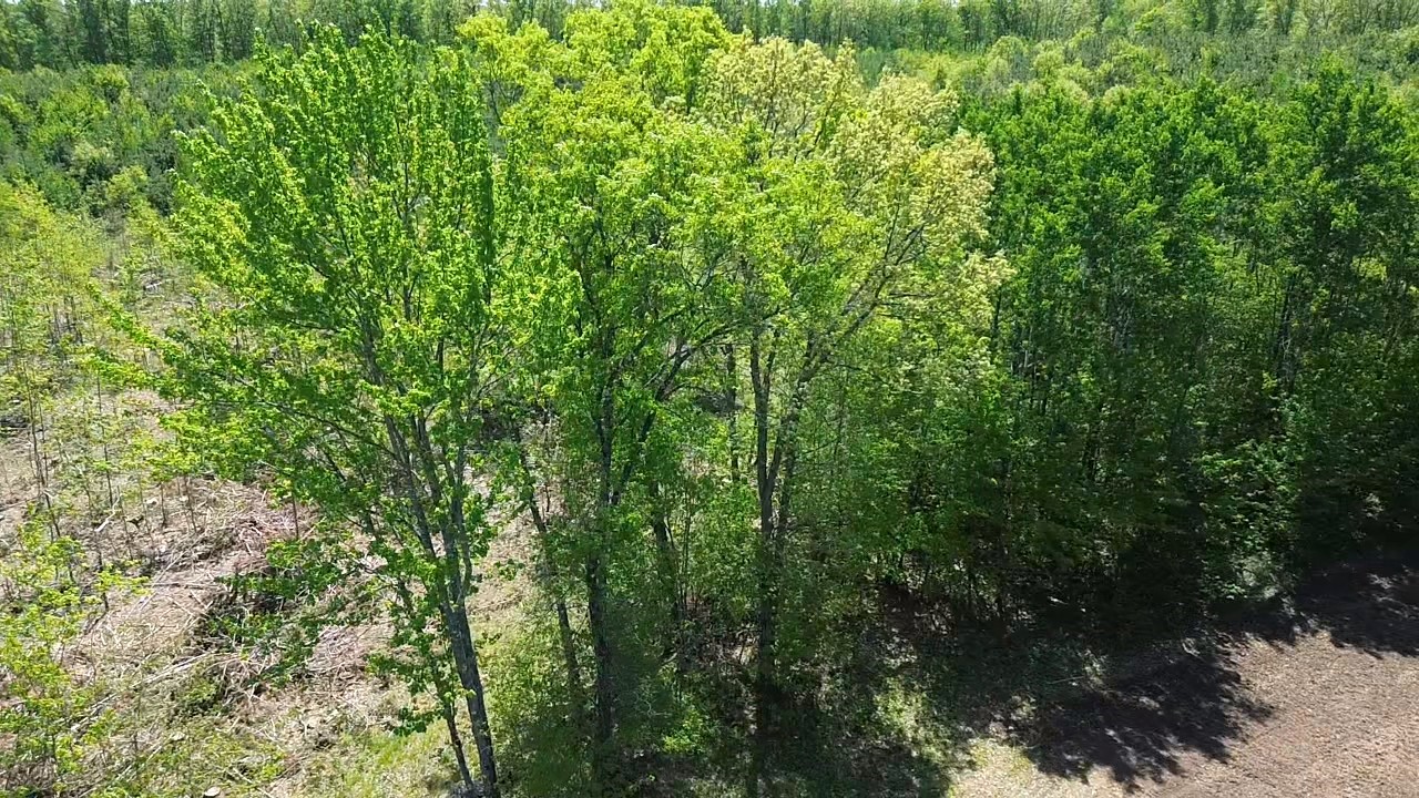 343 X 5th Avenue Shell Lake, WI 54871 - Photo 10 of 16