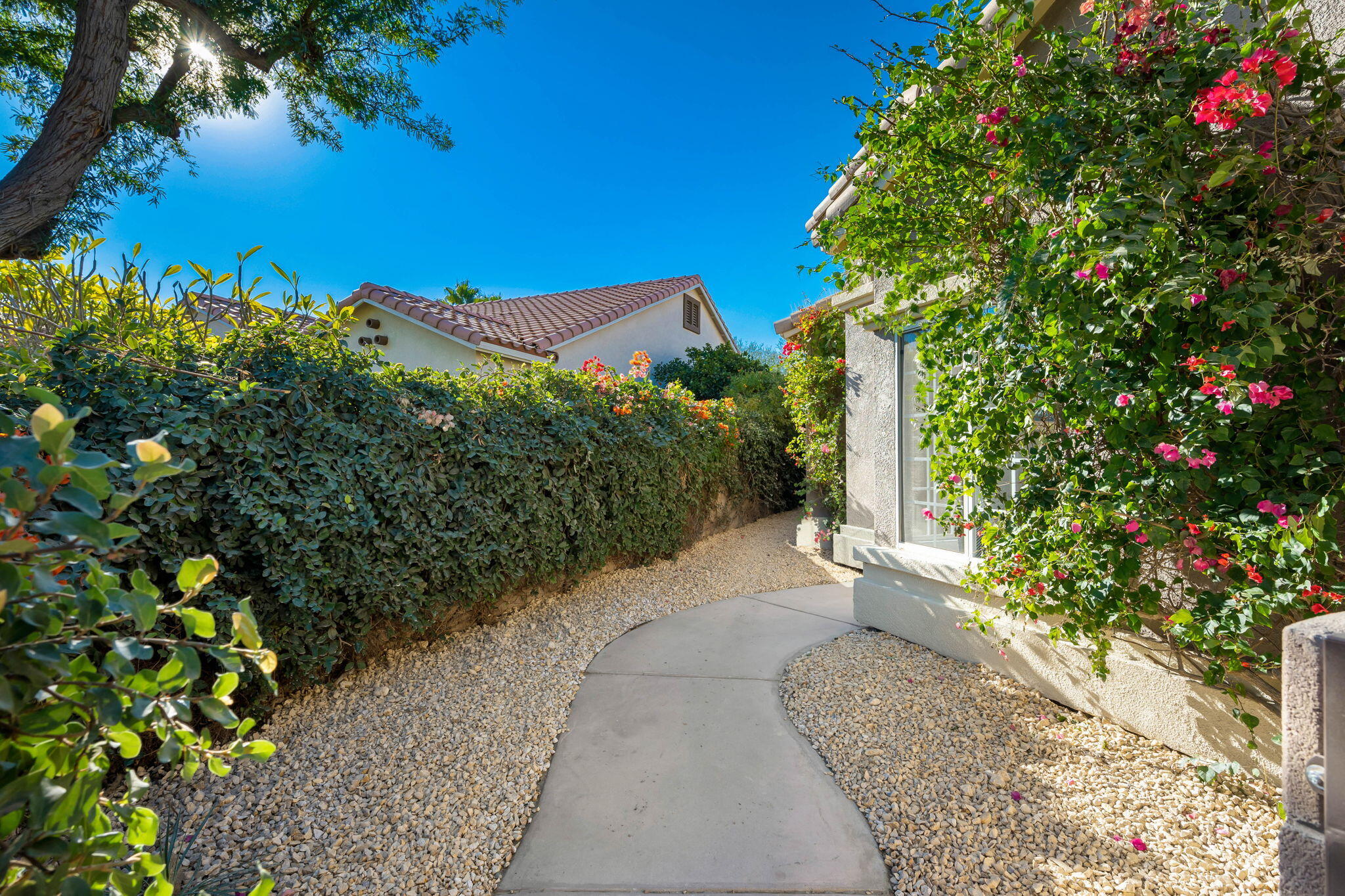 45809 Crosswater Street Indio, CA 92201 - Photo 10 of 48 a view of a pathway with a flower plants