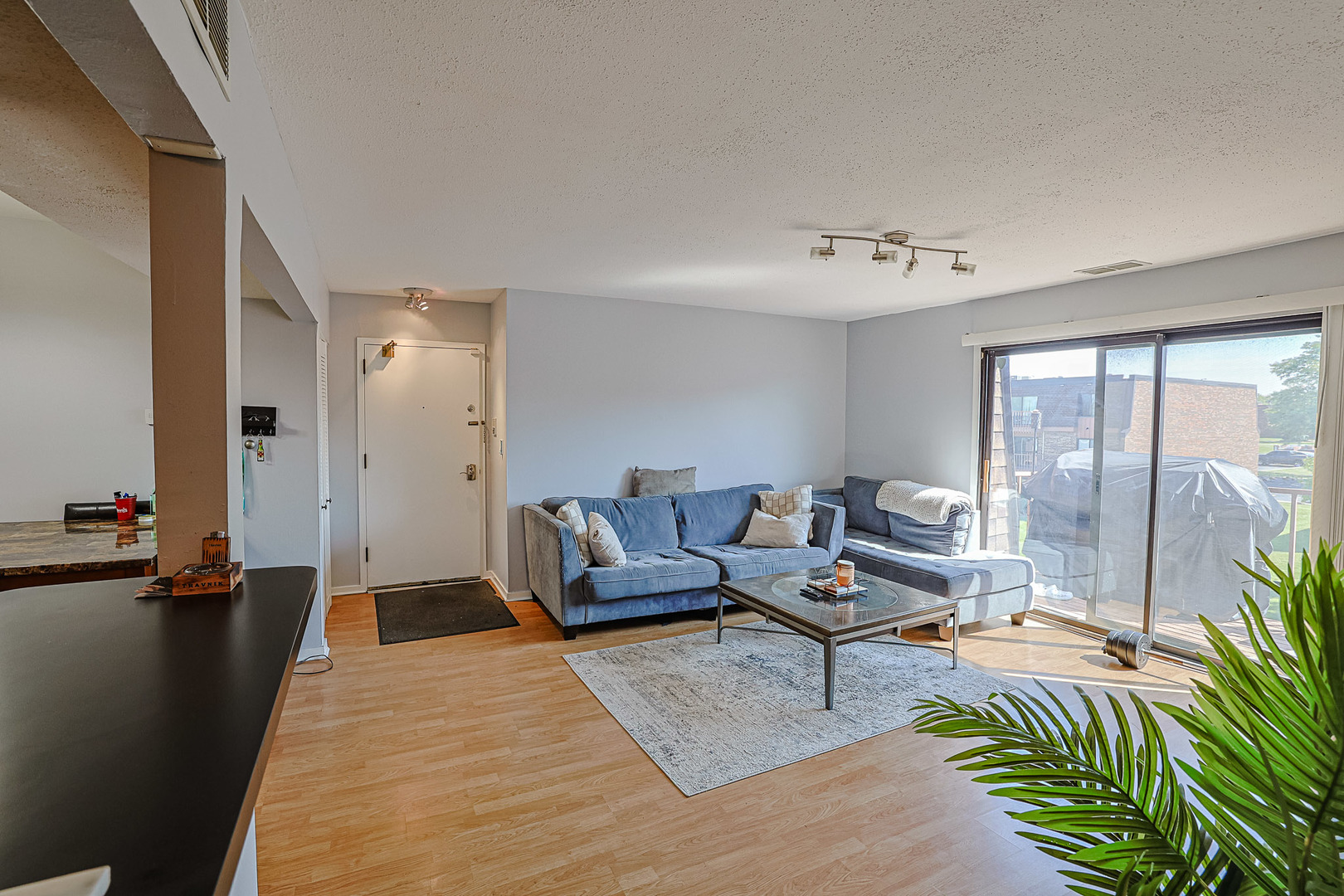 631 Derry Court, Unit 3C Schaumburg, IL 60193 - Photo 4 of 13