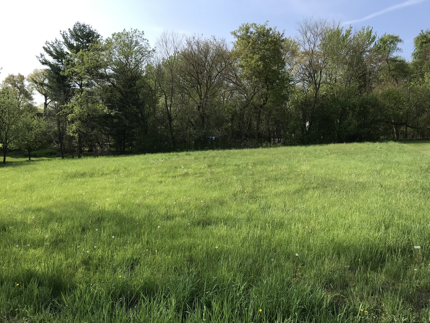 28577 West Fox River Road Cary, IL 60013 - Photo 1 of 12 a view of an outdoor space and a yard