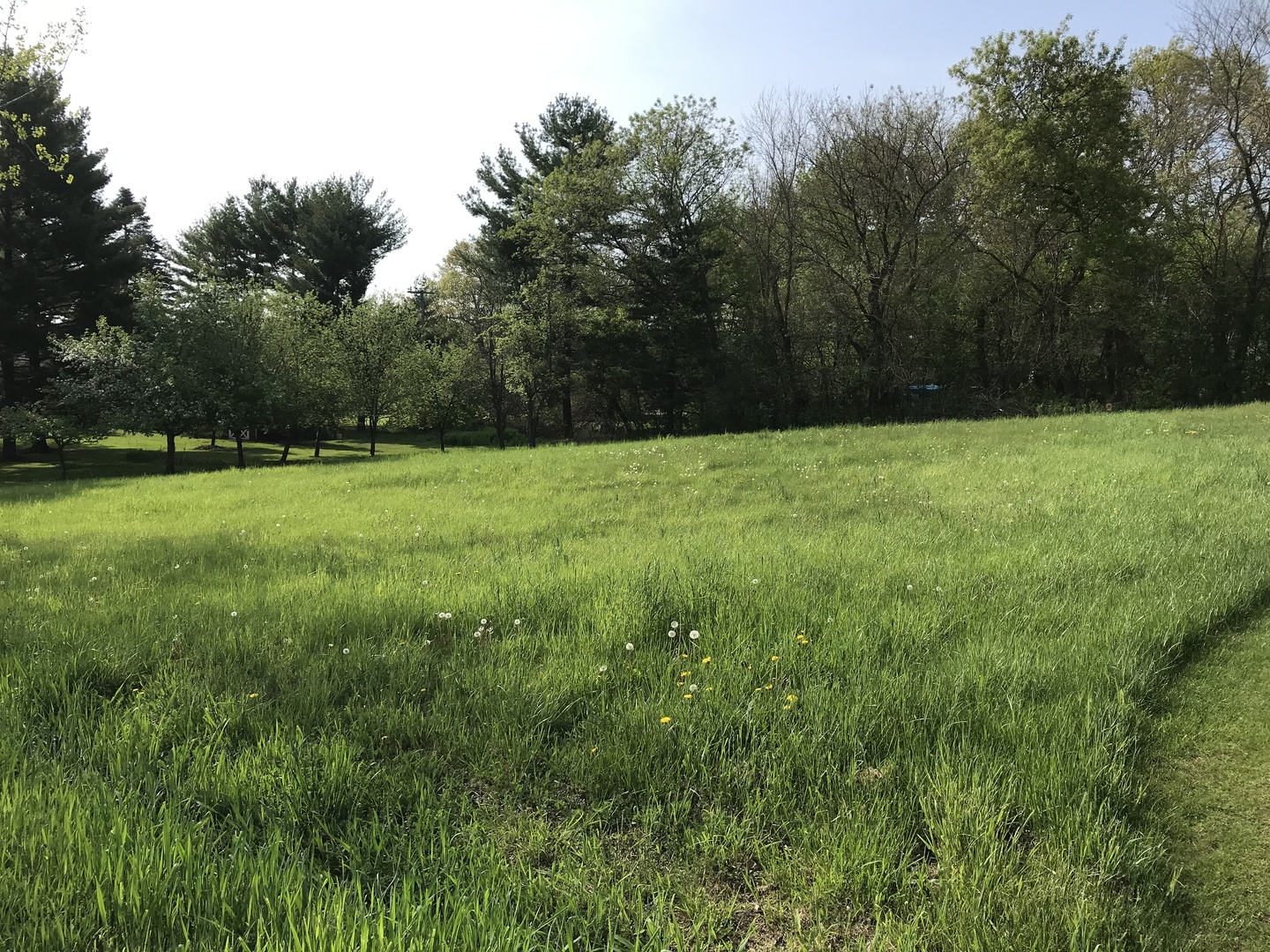 28577 West Fox River Road Cary, IL 60013 - Photo 2 of 12 a view of outdoor space and yard